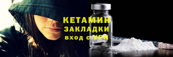 прущие грибы Тайга