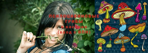 круглые Белокуриха