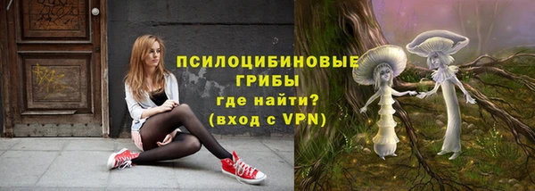 ALPHA PVP Богородицк